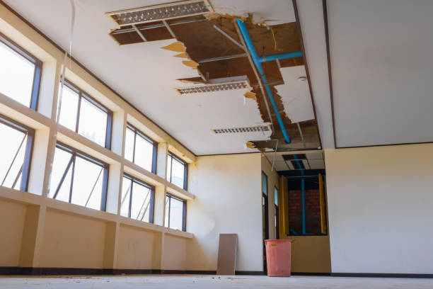 Best Water damage cleanup near me  in Spring City, PA