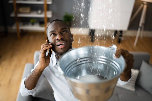 Best Water damage mitigation services  in Spring City, PA