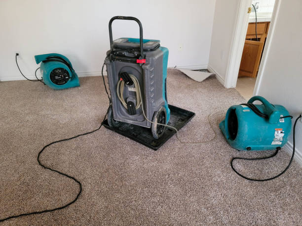 Best Water damage cleanup near me  in Spring City, PA