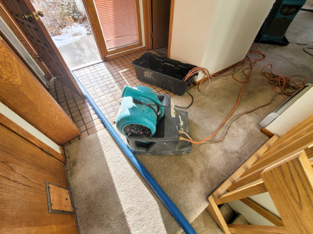 Best Flood restoration services  in Spring City, PA