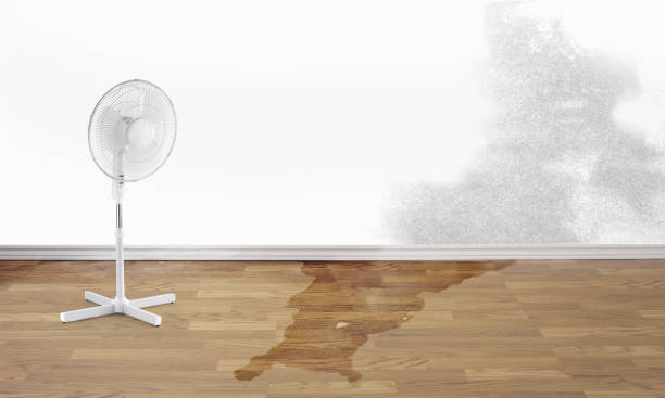 Best Carpet water damage restoration  in Spring City, PA