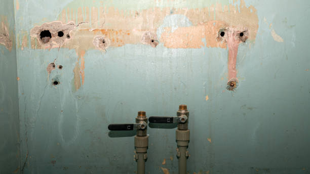 Best Mold removal after water damage  in Spring City, PA