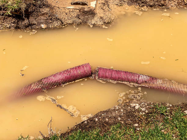 Best Water damage repair service  in Spring City, PA